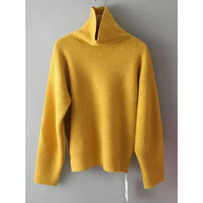 Tricot Soufine